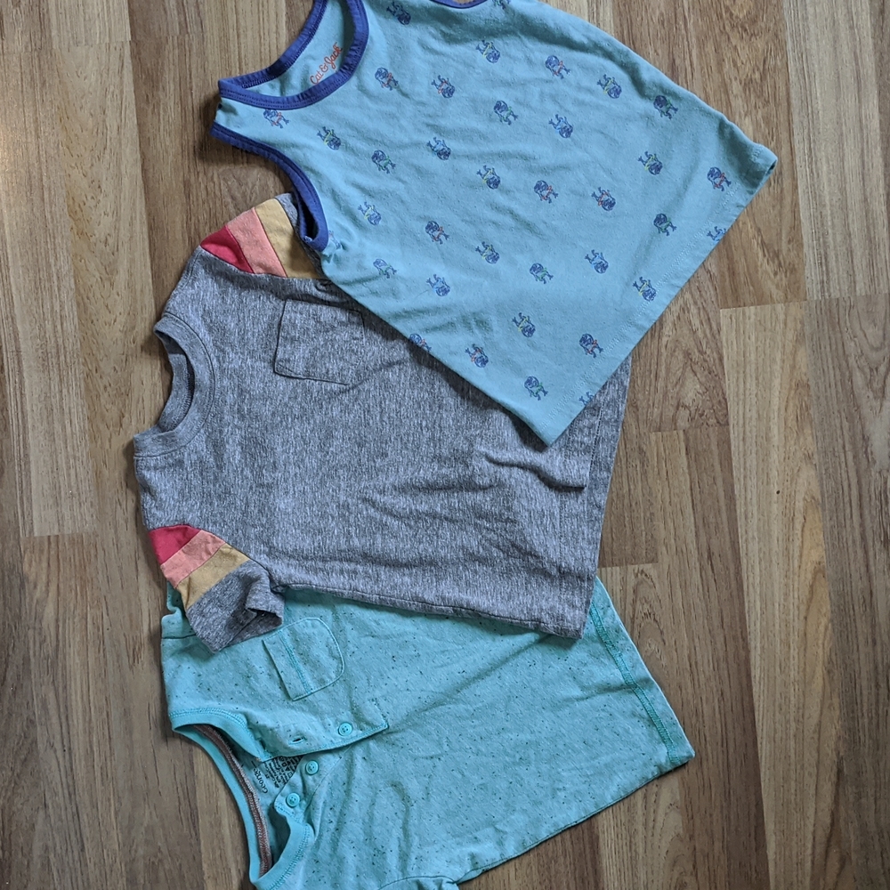 Boys Size 2T Tshirts Lot